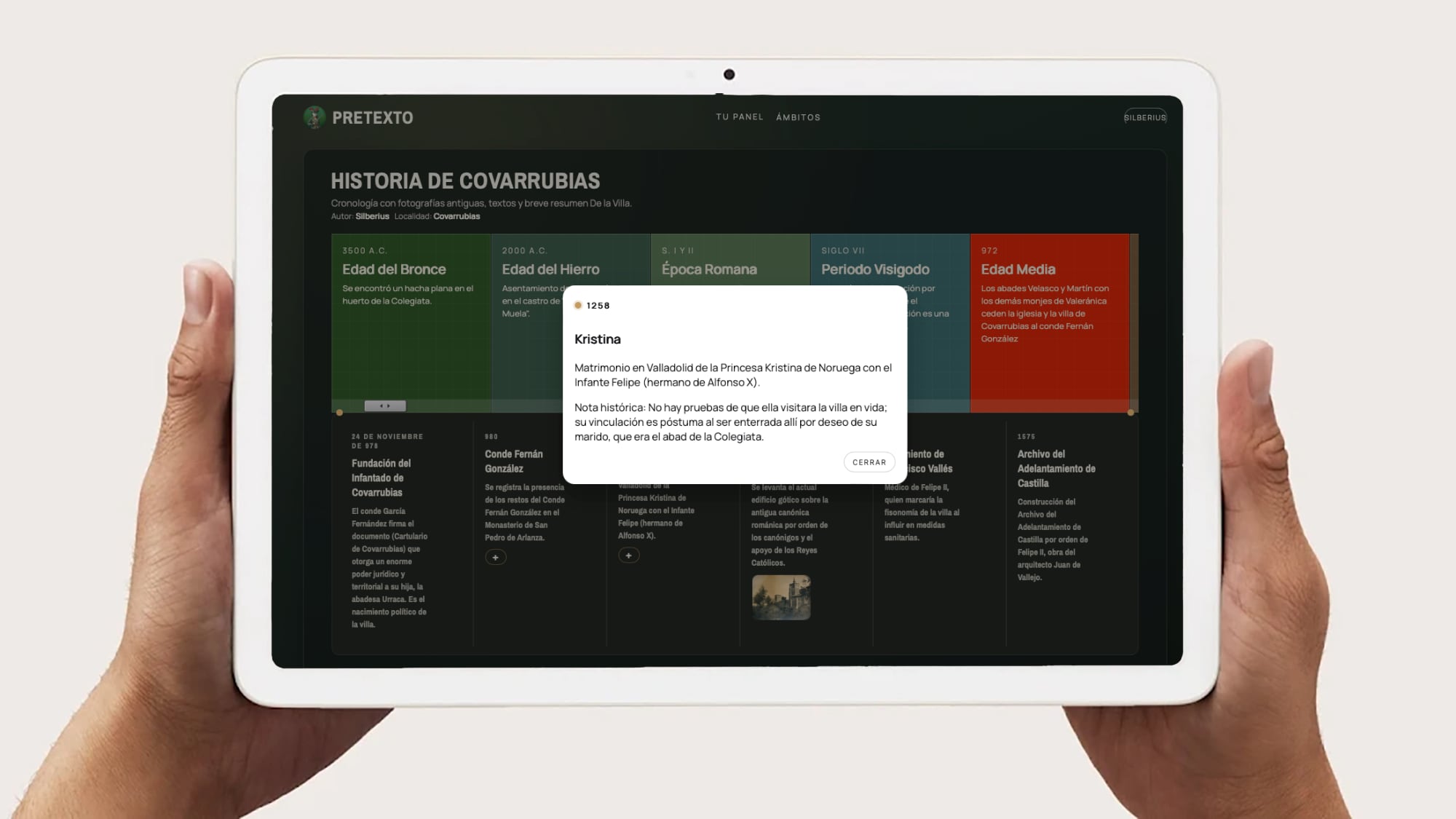 Detalle de timeline Cronohistoria