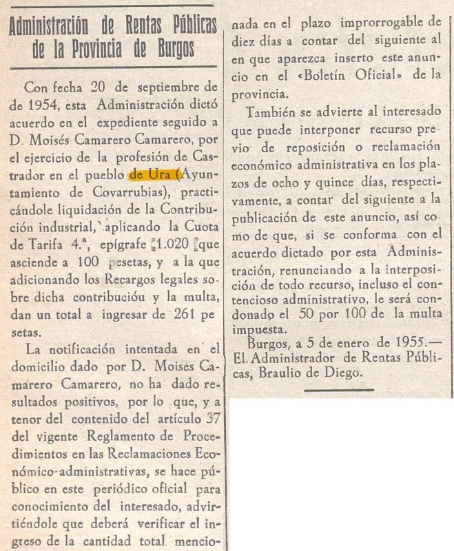13 Enero 1955